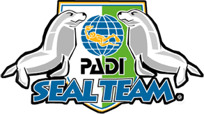 logo seal team